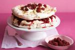 American Raspberry Hazelnut Meringue Torte Recipe Dessert