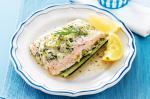 American Salmon With Creamy Leek And Dill Sauce Recipe Appetizer