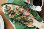 American Baked Fish With Sticky Sauce Recipe Dessert