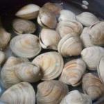 Canadian Cleaning Clams Other