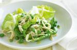 American Pea Poached Chicken and Butter Lettuce Salad Recipe Appetizer