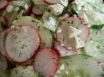American Cucumber Dill Salad With Radish and Feta Appetizer