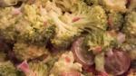 British Red Broccoli Salad Recipe Appetizer