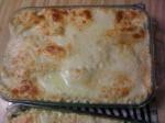 American Vegetable Lasagna With White Sauce Dinner
