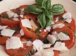 American Easy Marinated Tomato Salad Appetizer