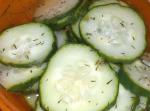 American Light and Tasty Cucumber Slices Appetizer