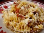 American Fusilli With Sausage Sun Dried Tomatoes and Vermouth Cream Sauce Dinner