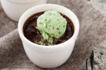 American Chocolate Puddings With Mint Icecream Recipe Dessert