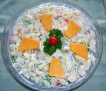 British Sea Shell Pasta Salad or Wheelie Pasta Salad Dinner