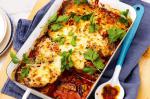 American Haloumi Herb And Eggplant Bake Recipe Appetizer