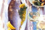 American Baby Salmon With Saffron And Fennel Pilaf Recipe Appetizer