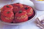 American Tomato Dolmas Recipe Appetizer