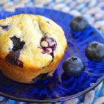 American Blueberry Muffins blueberries Appetizer