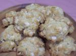 Coconut Chip Cookies for recipe