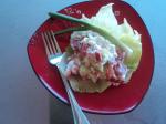American Potluck Portion  Cottage Cheese Summer Breeze Salad Appetizer
