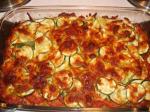 American Zucchini and Summer Squash Gratin With Parmesan and Fresh Thyme Appetizer
