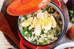 British Chicken And Lemon Risotto Recipe Appetizer