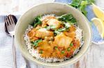 British Fish Tomato And Coconut Curry With Basmati Rice Recipe Dinner