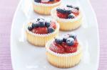 American Mini Baked Cheesecakes Recipe Dessert