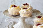 American Vanilla Butterfly Cupcakes Recipe Dessert