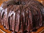 American Chocolate Tunnel Fudge Cake Dessert