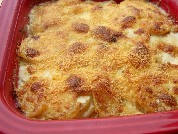 French Creamy Potato Gratin 5 Appetizer