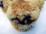 American Paula Deens Blueberry Muffins Dessert