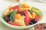 Italian Panzanella Salad Recipe 8 Appetizer