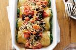 Italian Spinach and Ricotta Cannelloni With Tomato Salsa Recipe Appetizer