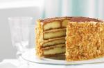 Italian Tiramisu Cake Recipe 1 Dessert