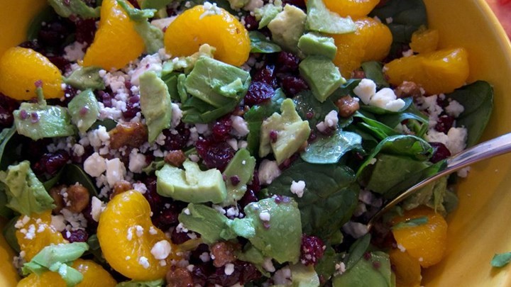 American Cranberry Glazed Walnut Orange Avocado and Blue Cheese Salad Recipe Appetizer