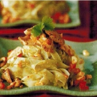 Singaporean Chicken And Noodle Salad With Cashews Appetizer