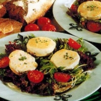 Greek Goat Cheese Salad Appetizer