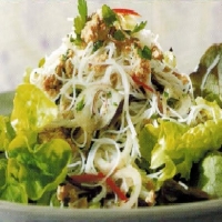 Chinese Pork Noodle Salad Appetizer
