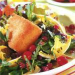 American Leaf Salads with Fried Camembert and Cranberrries Appetizer