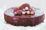 American Chocolate Yoghurt Cake Recipe Dessert