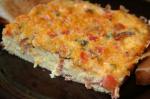 American Cheddar Tomato Oven Omelette Appetizer