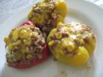 American Spicy Tricolor Vegetarian Stuffed Bell Peppers Appetizer