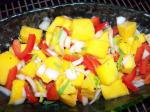 American Mild Mango Salad Appetizer