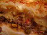 American Cheesy Shepherds Pie Appetizer