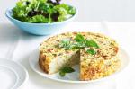 British Tuna Rice Bake Recipe Appetizer