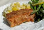 American Salmon Barbecue Marinade Appetizer