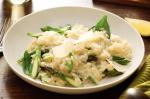 American Asparagus Basil and Lemon Risotto Recipe Appetizer