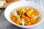 American Chicken And Vegetable Soup Recipe 2 Appetizer
