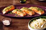 American Parsley and Pine Nut Salmon With Zesty Couscous Recipe Appetizer
