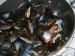 American Rheinisches Muschelessen rhenish Mussel Meal Appetizer