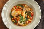 American Mediterranean Chicken Casserole Recipe 1 Appetizer
