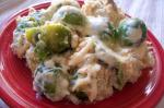 American Creamy Brussels Sprouts Gratin Dinner