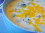 American Cream of Broccoli Cheese Soup 2 Appetizer