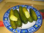 American Garlic  Dill Pickled Cucumbers gherkins Appetizer